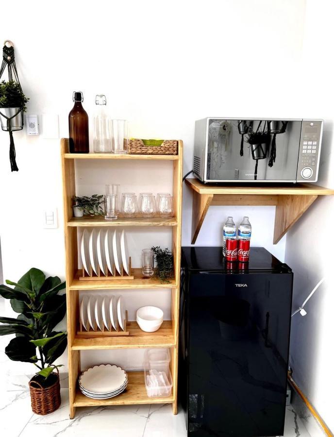 Casa Olivo Apartment Kota Meksiko Bagian luar foto